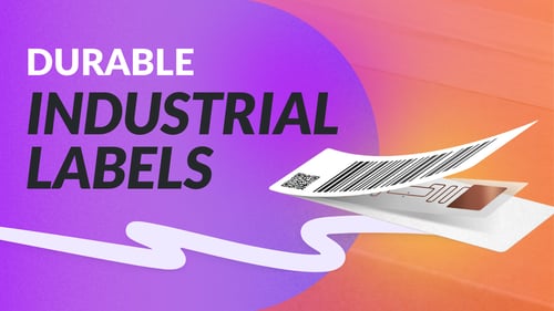 Featured image for article: Ensuring Compliance and Efficiency: Durable Industrial Labels by Taylor