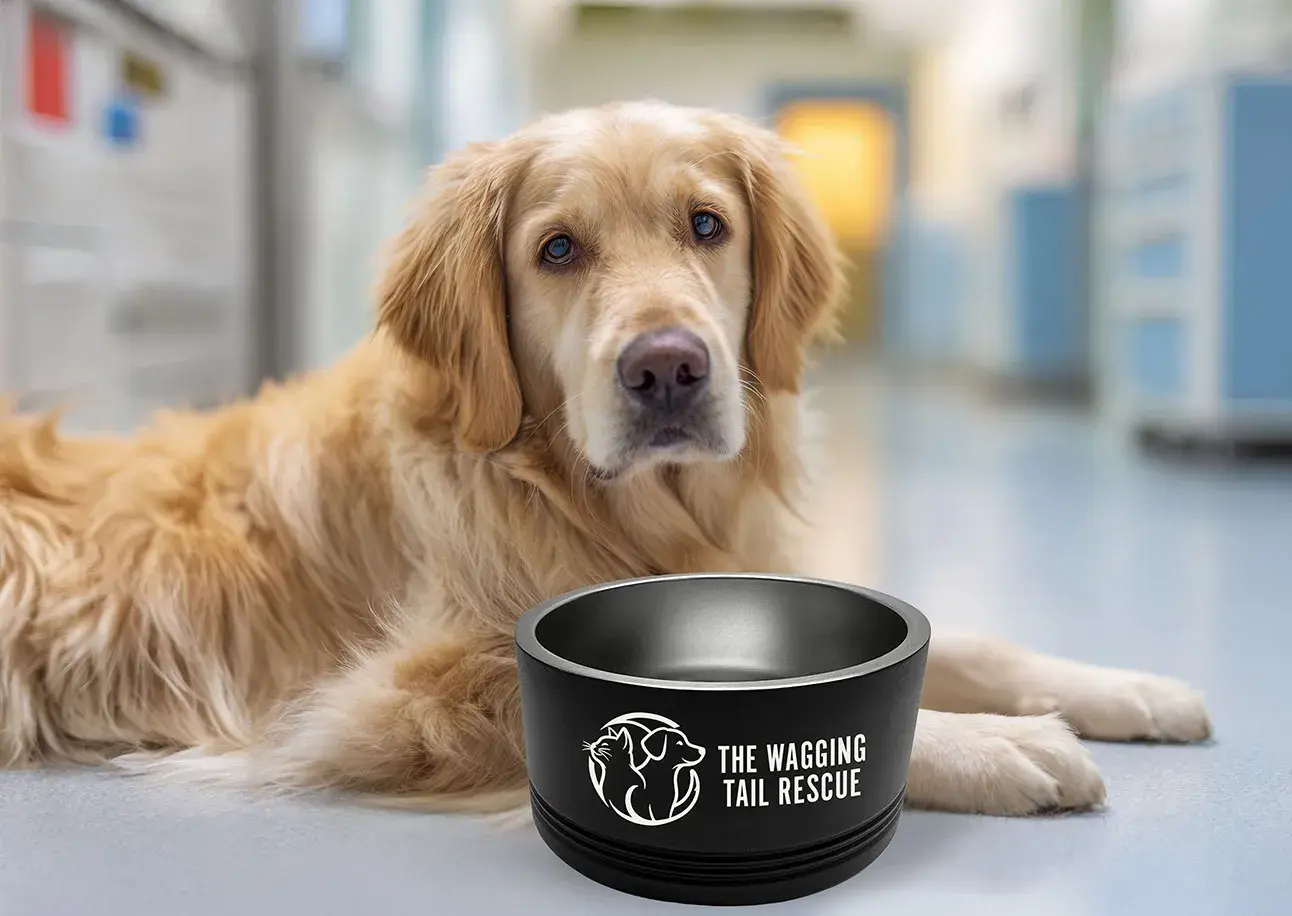 Engraved Pet Bowls