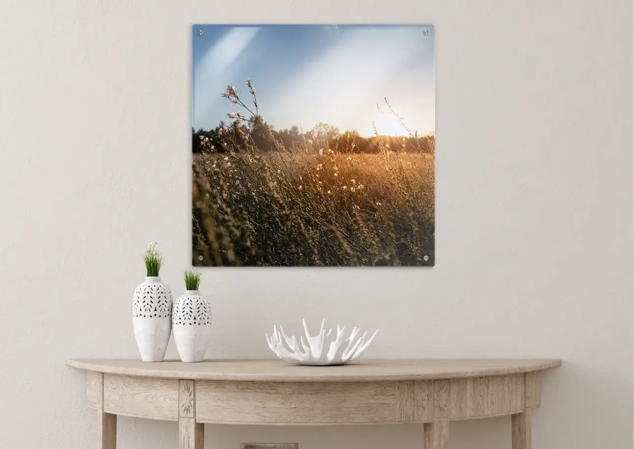 Acrylic Wall Art