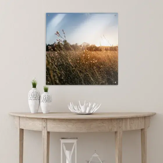 acrylic-wall-art-n0-standoffs-24x24-lifestyle-01-sm